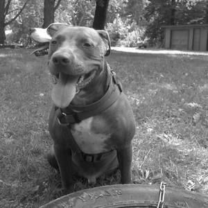 Meet your Posher, Benjamin